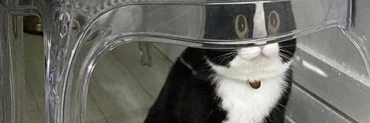 thiago ◤✠◢ banner