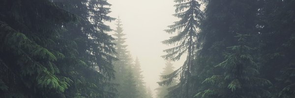 _OhThatsWill Profile Banner