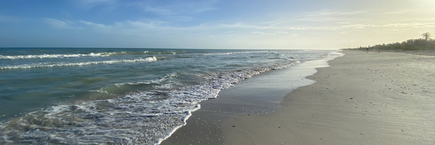 CiceliPeniche's profile banner image