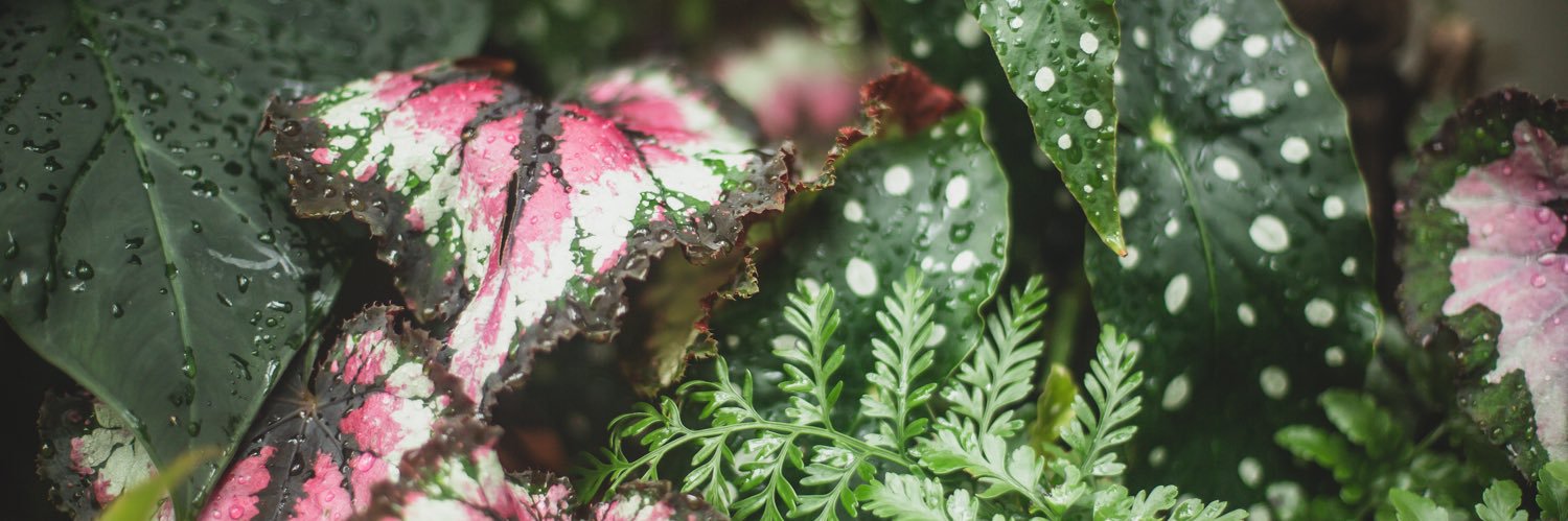 itsjessmac's profile banner image
