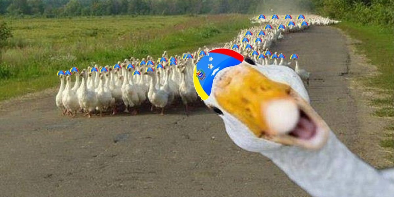 virguezm's profile banner image