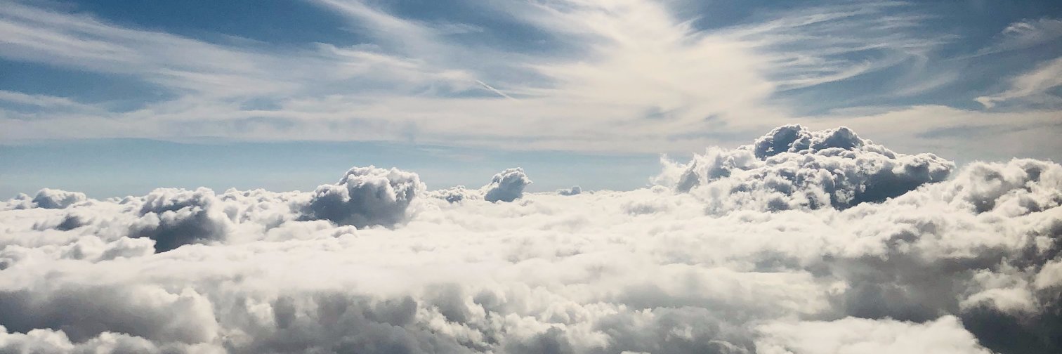 sandrameira's profile banner image