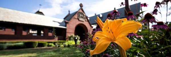 SMLions Profile Banner