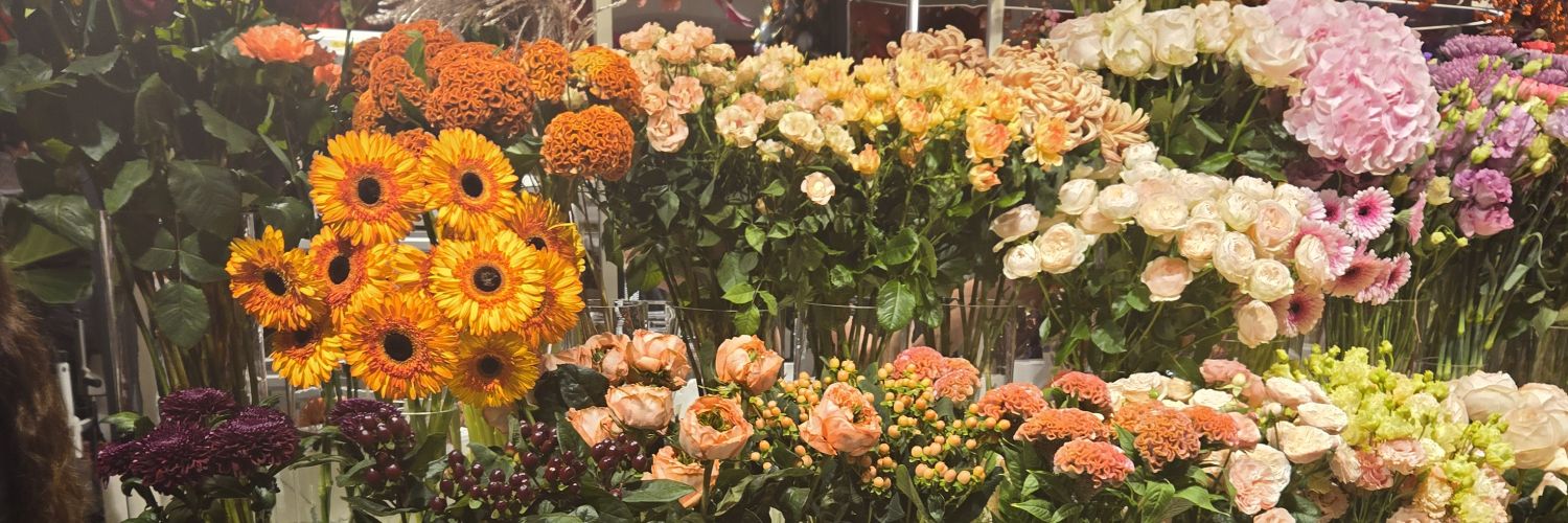 Jennifer Moreno banner