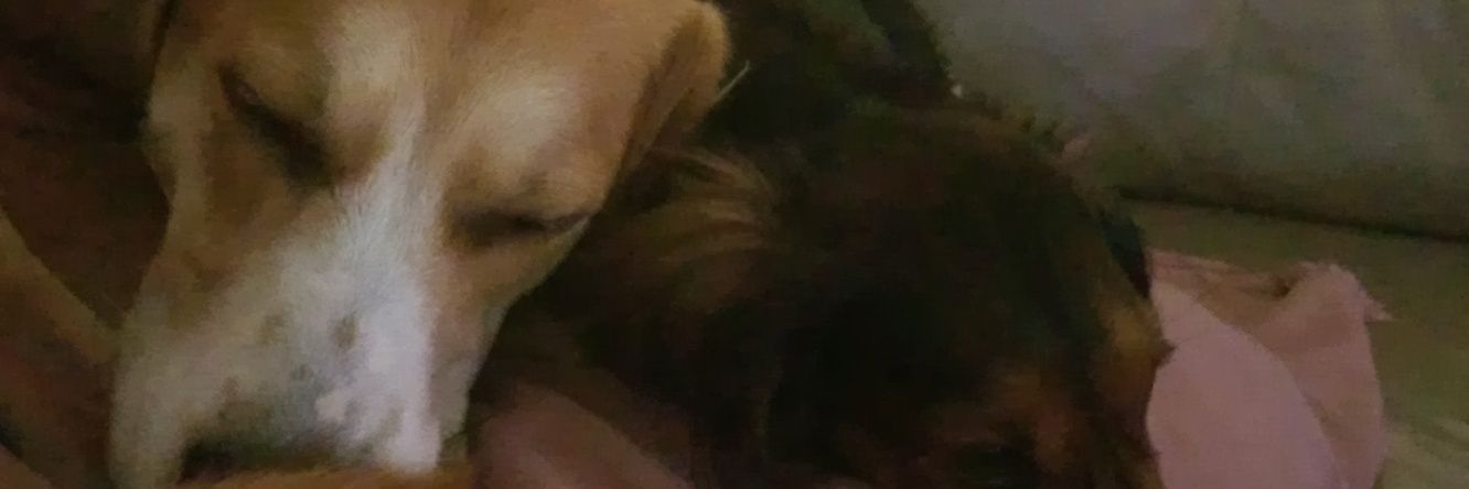 kellsi_wurth's profile banner image