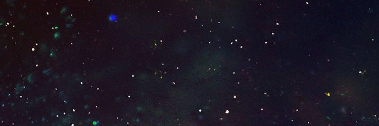 FreddyTV's profile banner image