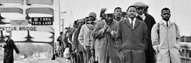 Ryan Williams 🪷 banner