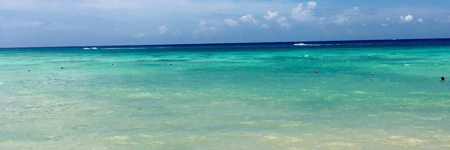 gowiththeflo005's profile banner image