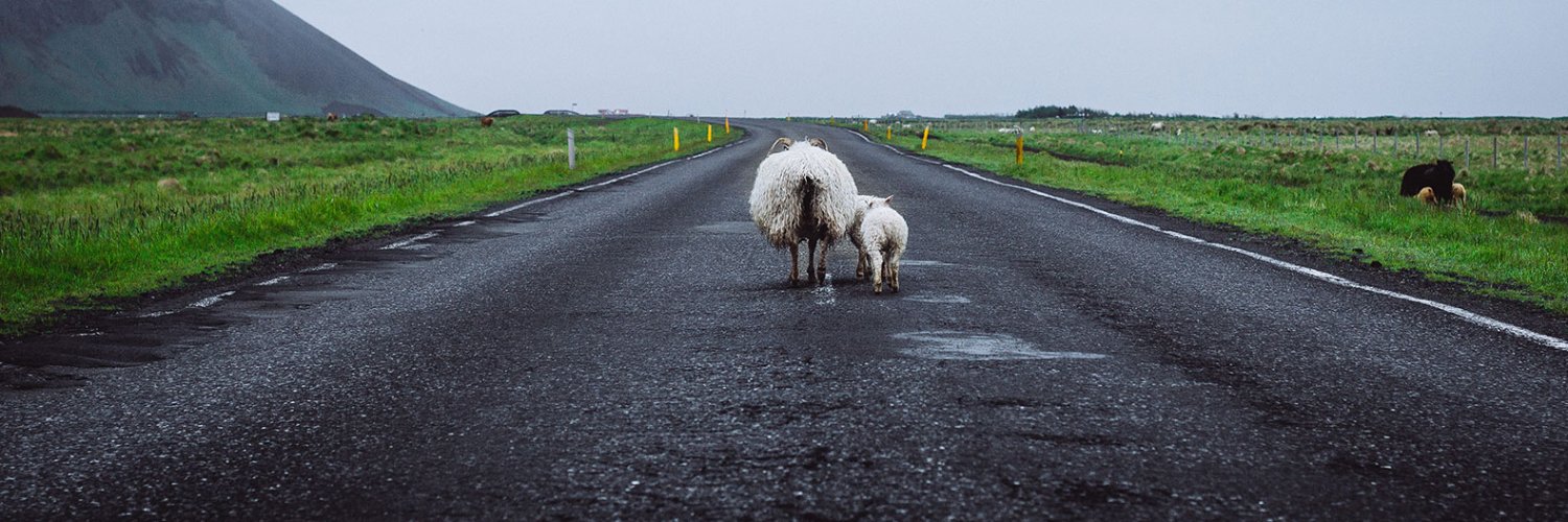 Dan Kent, hoping God puts this tweet on his fridge banner