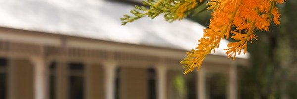 UWA Institute of Advanced Studies's banner