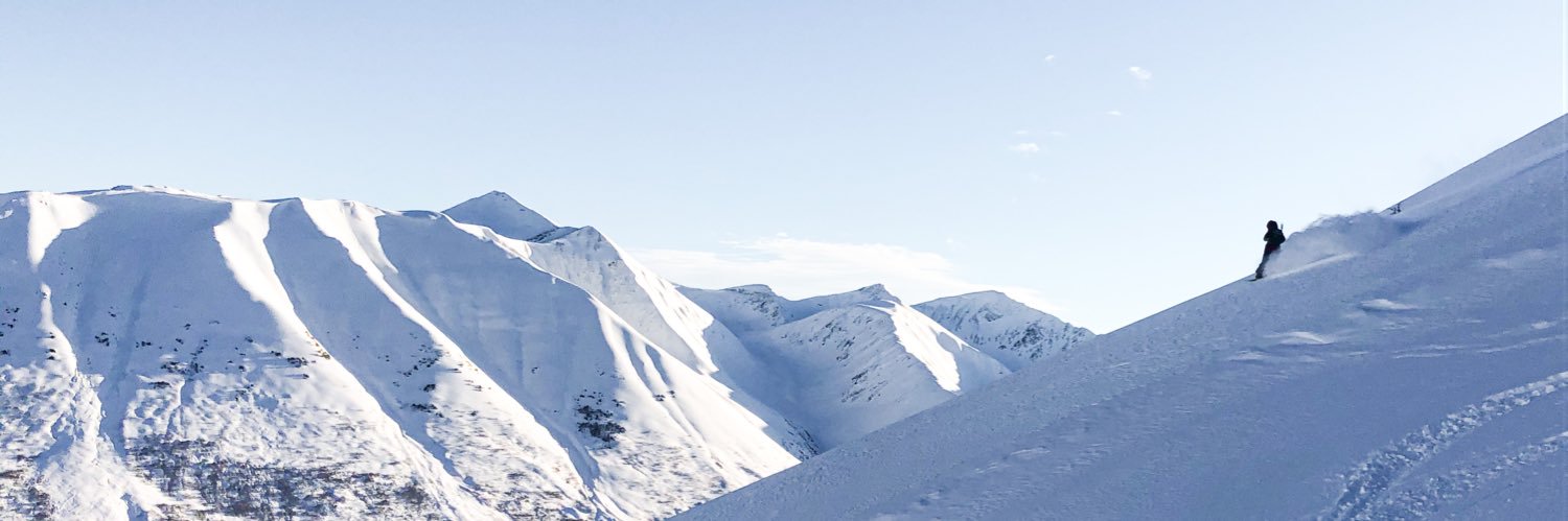 NoraaFleischer's profile banner image