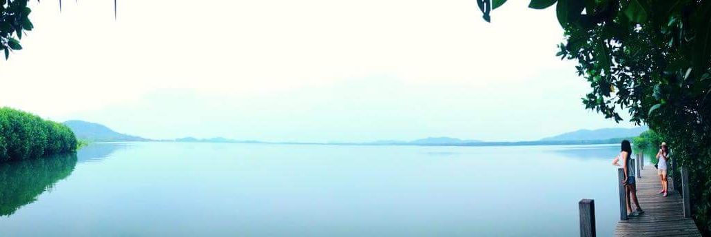 natjang2003's profile banner image