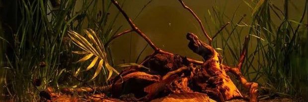 avoloath's profile banner image
