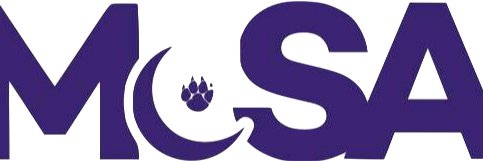 NUMcSA's profile banner image