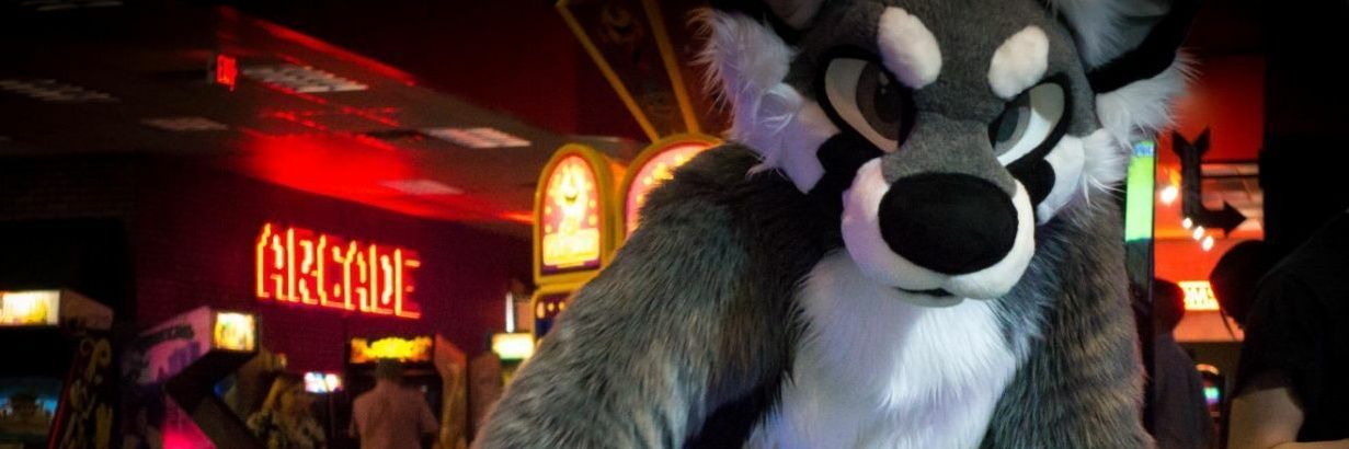 SilvyShadow's profile banner image