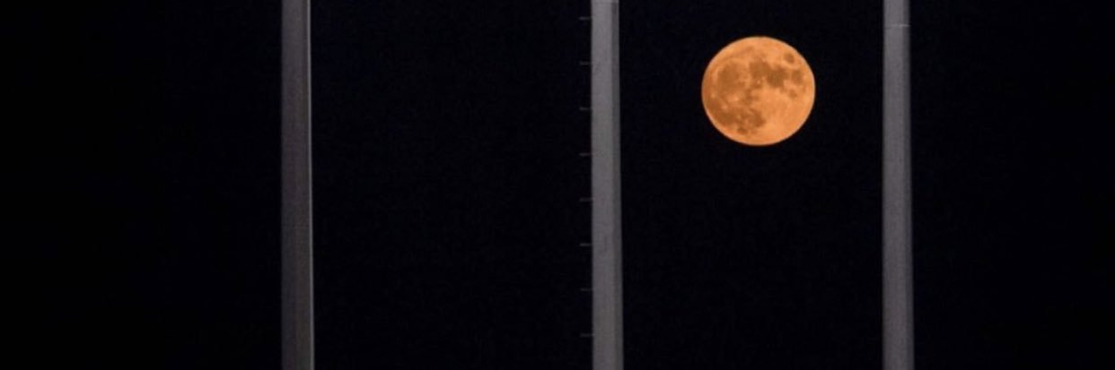 thereal_ajd's profile banner image