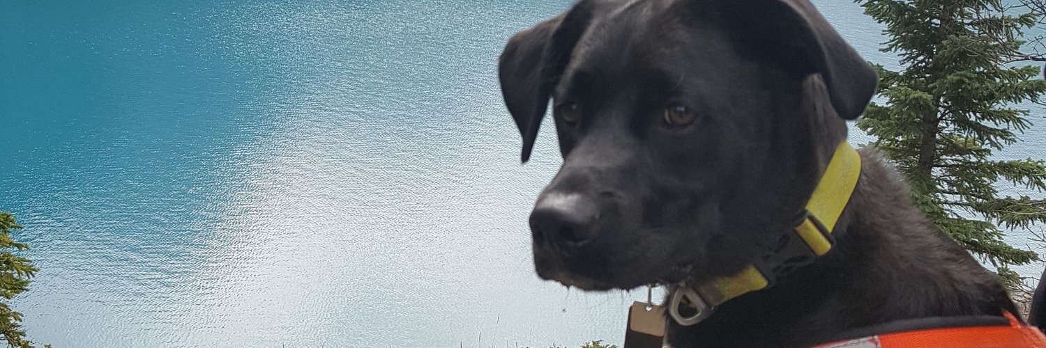 Stephasselin's profile banner image