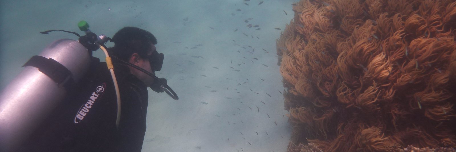 Randall Barry banner