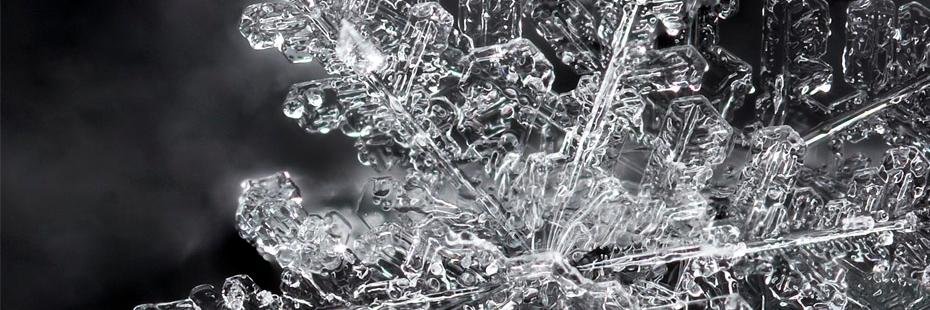 Marion Kamoike-Bouguet banner