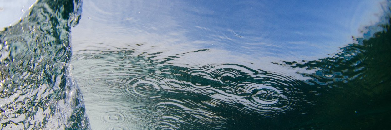 zamorasurf's profile banner image