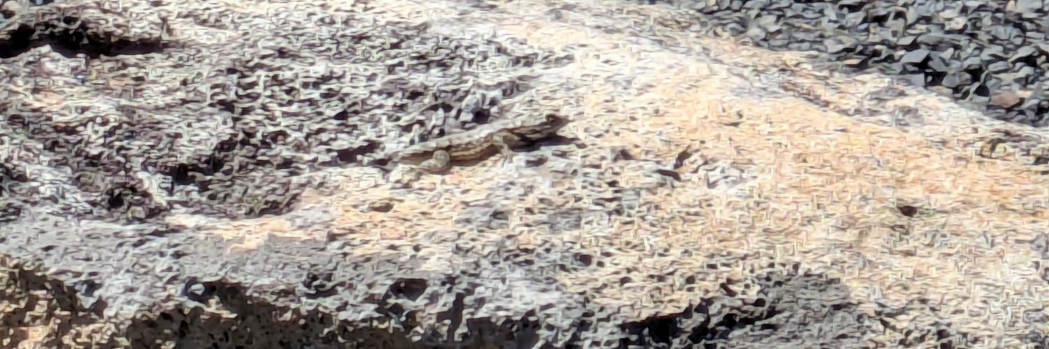 CRRColin's profile banner image