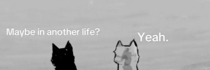 ♤ banner