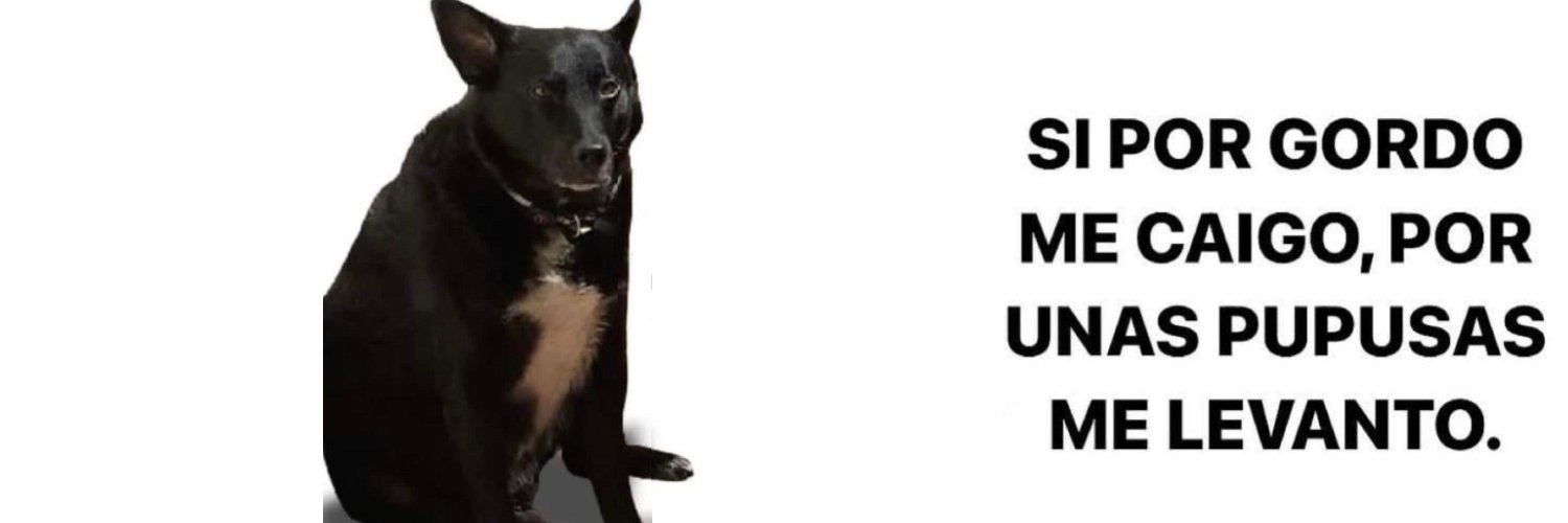 Carlos Guzman banner