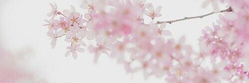 jhenvhee's profile banner image
