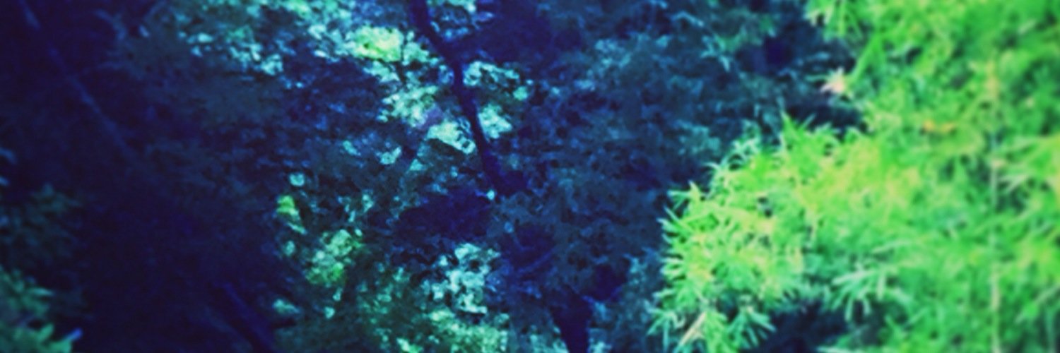 saeeeeeee's profile banner image