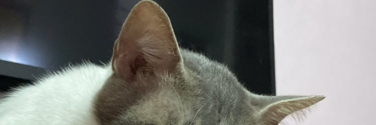 Nadyaptrr's profile banner image