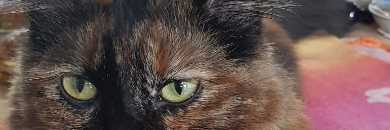 miss_snooopy's profile banner image