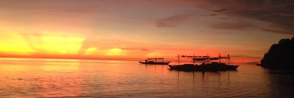 fabuluscat's profile banner image