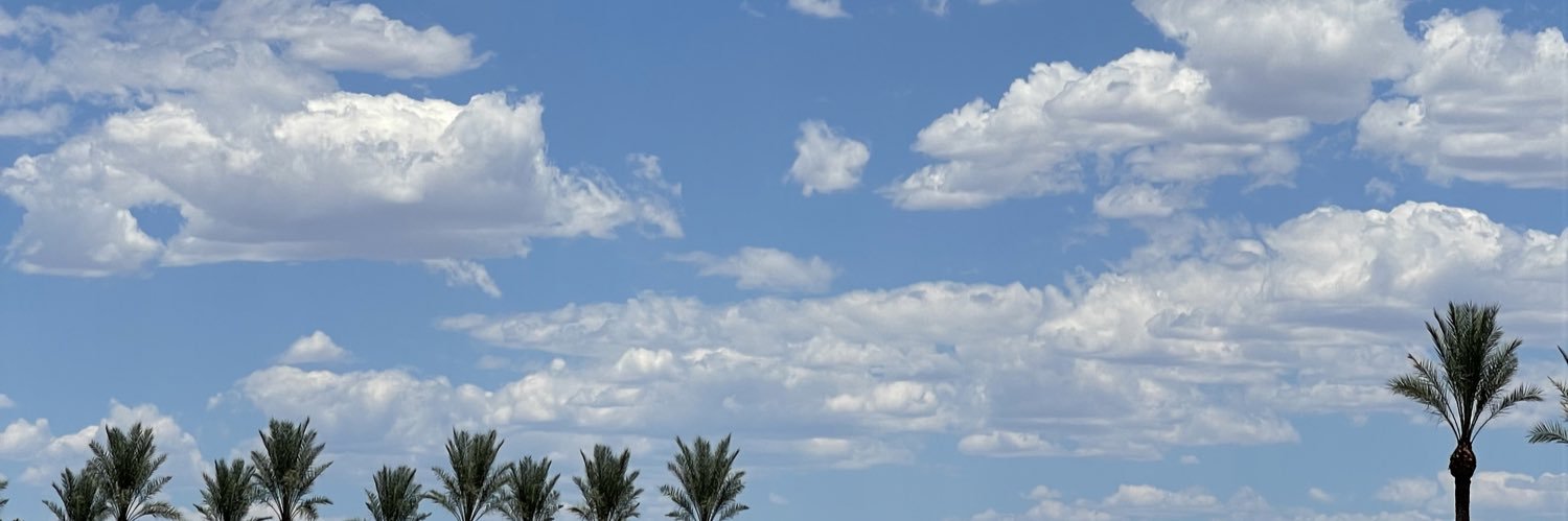 JulanaMeredith's profile banner image