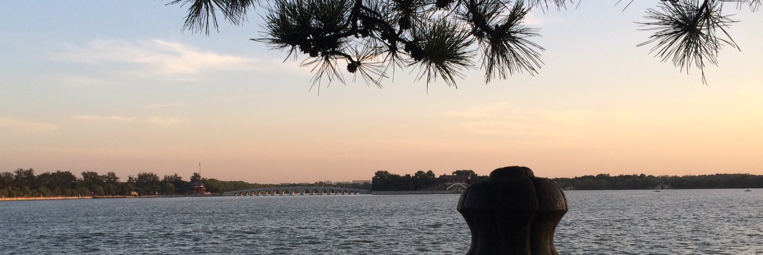 wondow's profile banner image