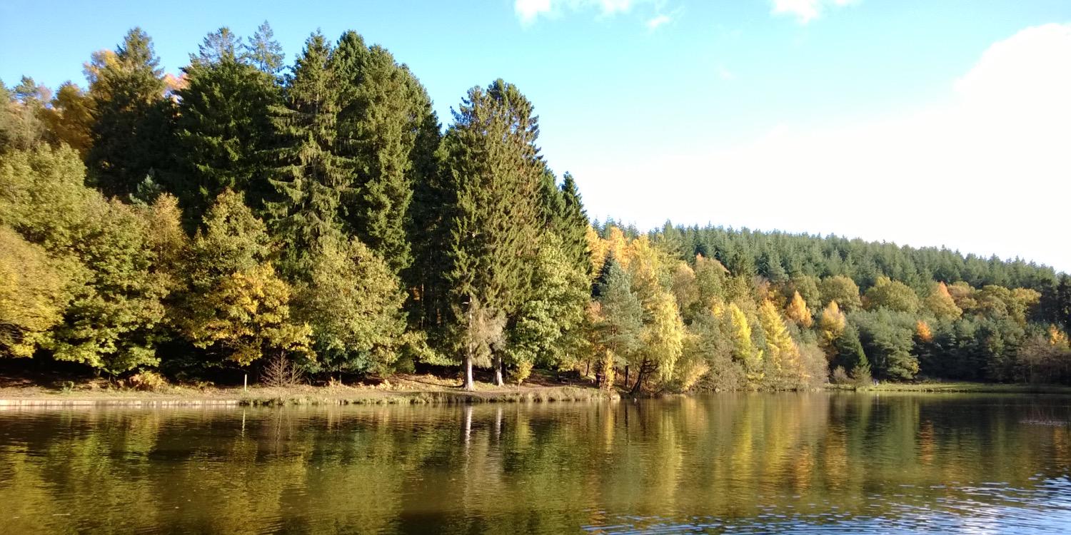 Toot The Shoot banner