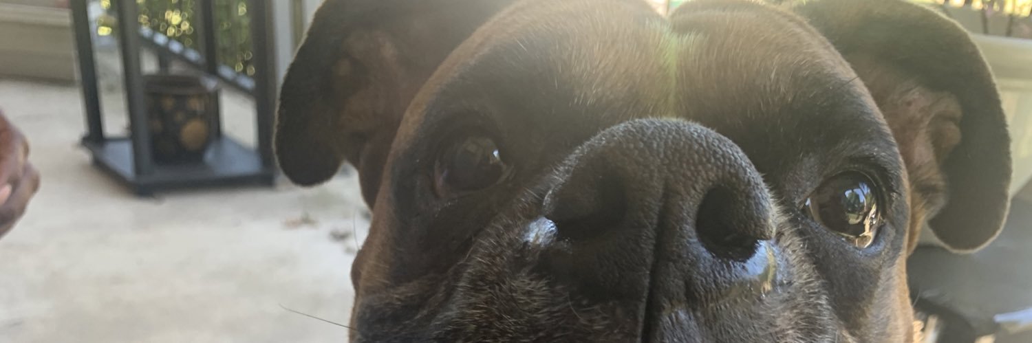 RoleModelMegan's profile banner image