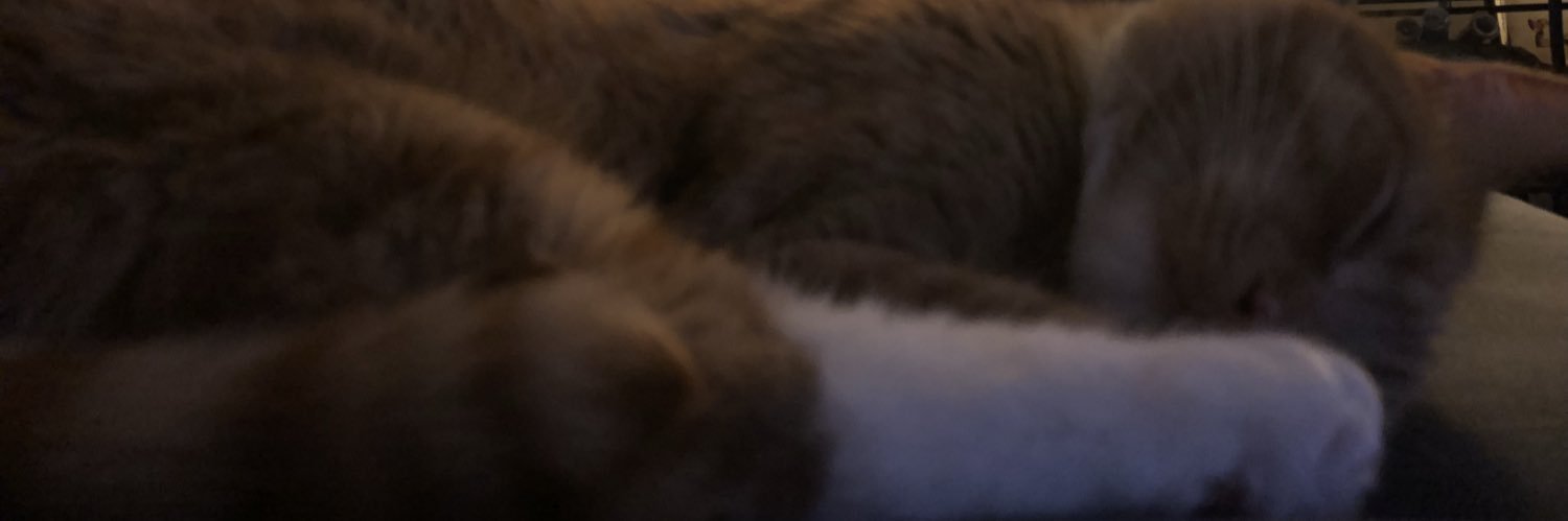 StephyMeep's profile banner image