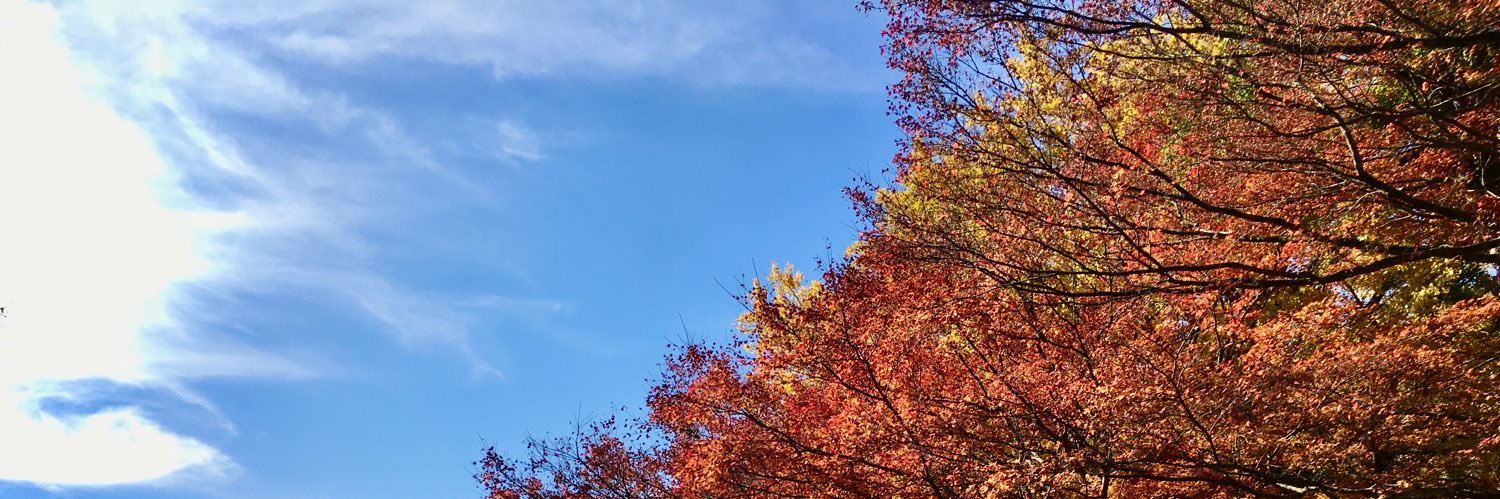 NAWAYoshio's profile banner image