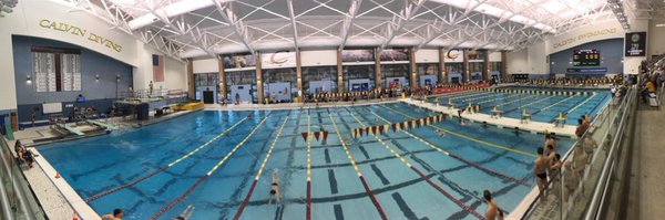 calvinswimming Profile Banner