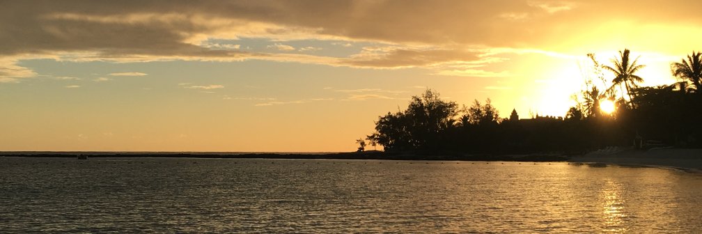 MattAv11's profile banner image