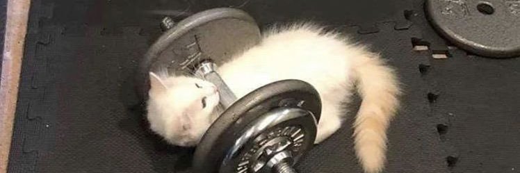 La Padawan Aigrie ✨ banner