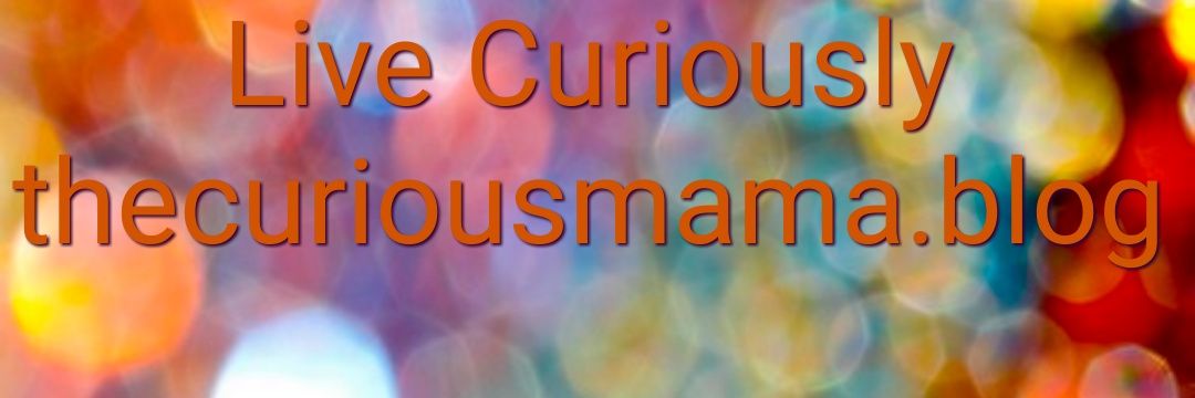 curiousmamablog's profile banner image