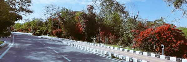 prateekkapil Profile Banner