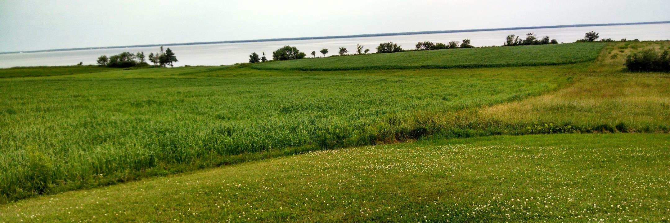 Lenore_Diane's profile banner image