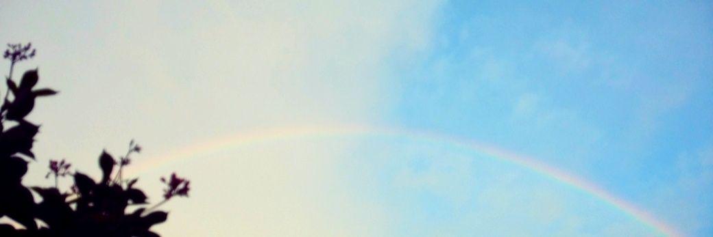 tetanotbeta's profile banner image