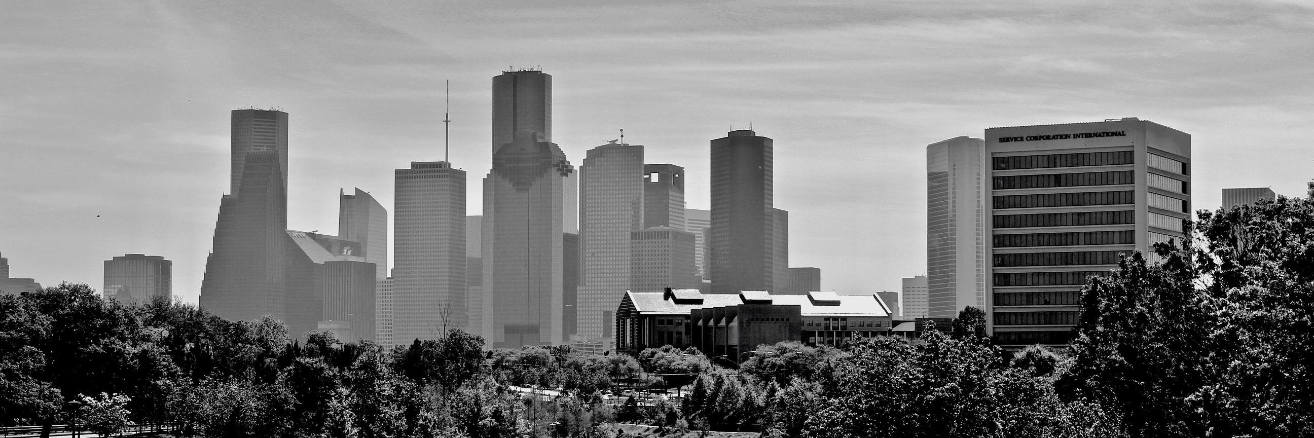mattdulin's profile banner image