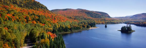 InterfaceFrance Profile Banner