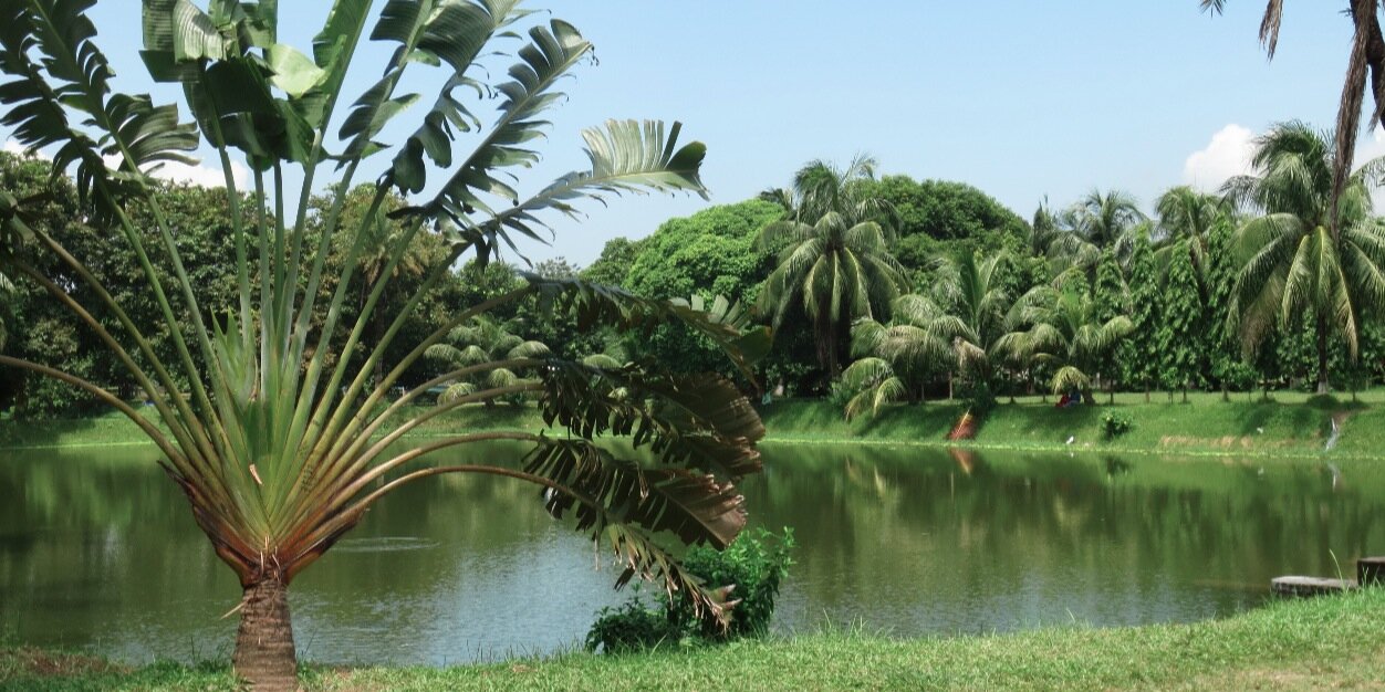 Jonathan Ellis banner