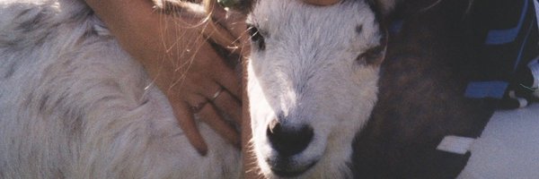 Jannegerritsen Profile Banner