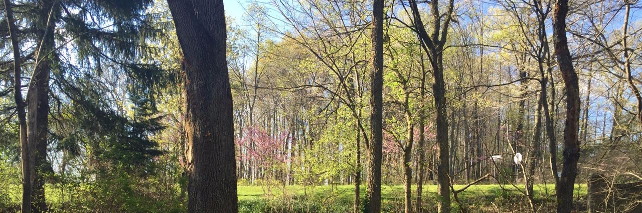 oakwoodregister's profile banner image